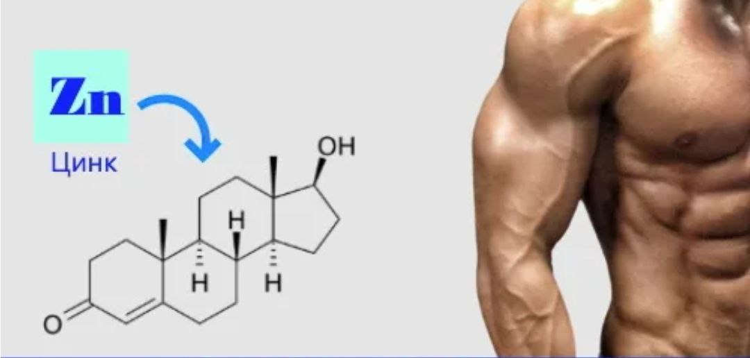 Естественный тестостерон. Цинк и тестостерон. Цинк для тестостерона у мужчин. Тестостерон для мужчин для мышц. Цинк в синтезе тестостерона.