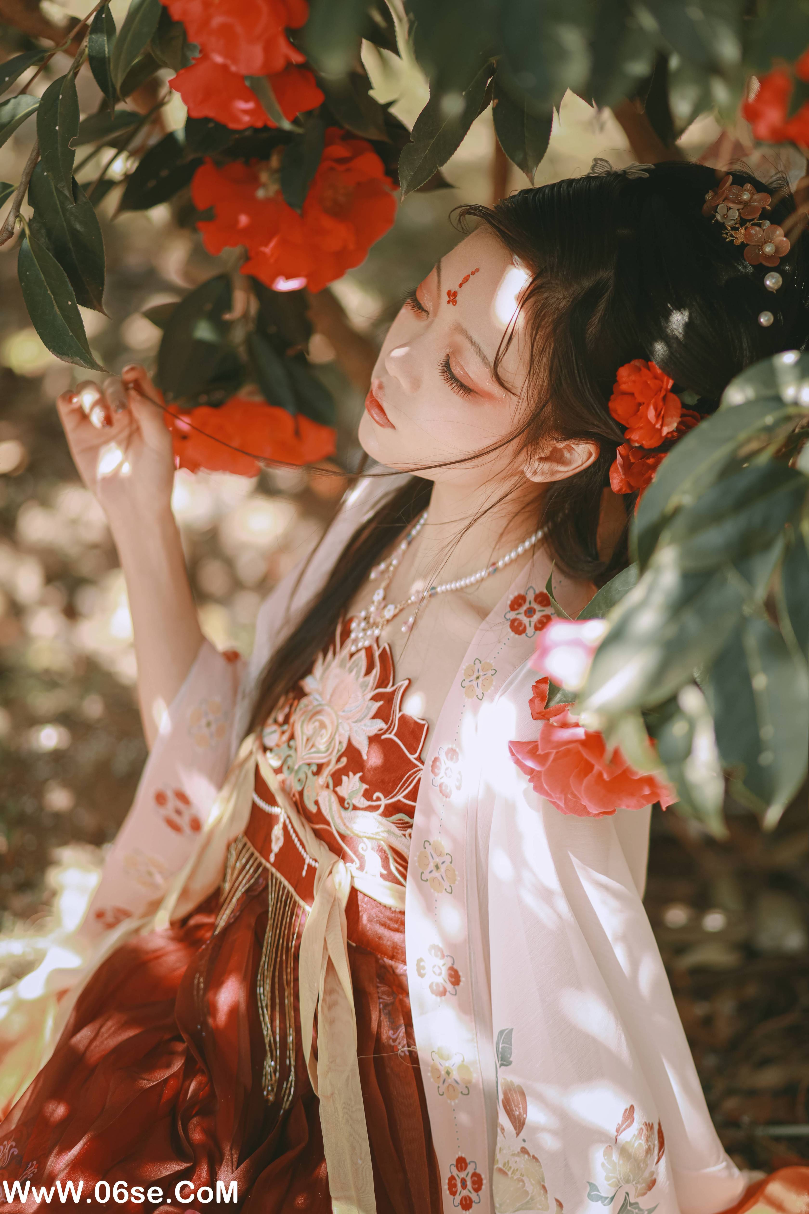 图片[42]-[YITUYU艺图语]2022.06.26 山茶花神 芍药_Y[42P-469M]-六色网