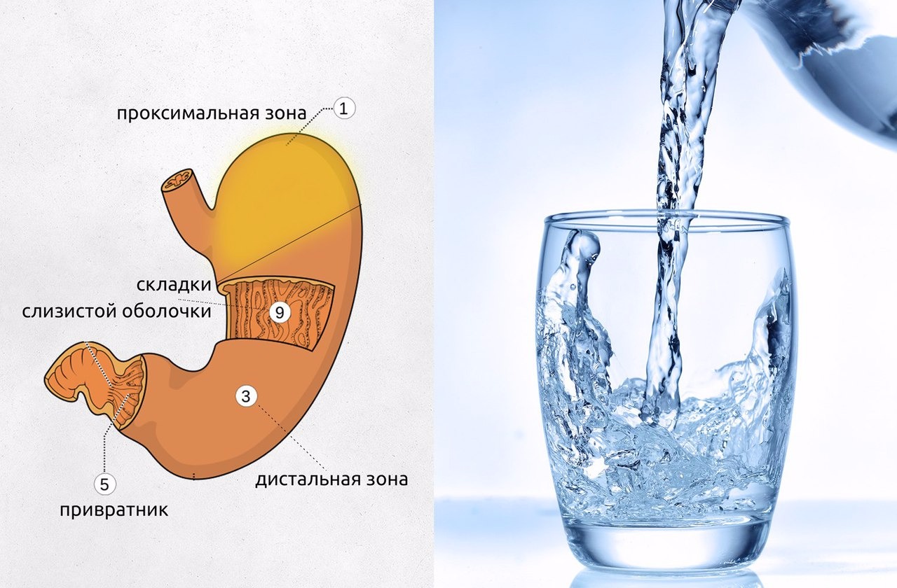 Можно ли пить сразу после еды воду