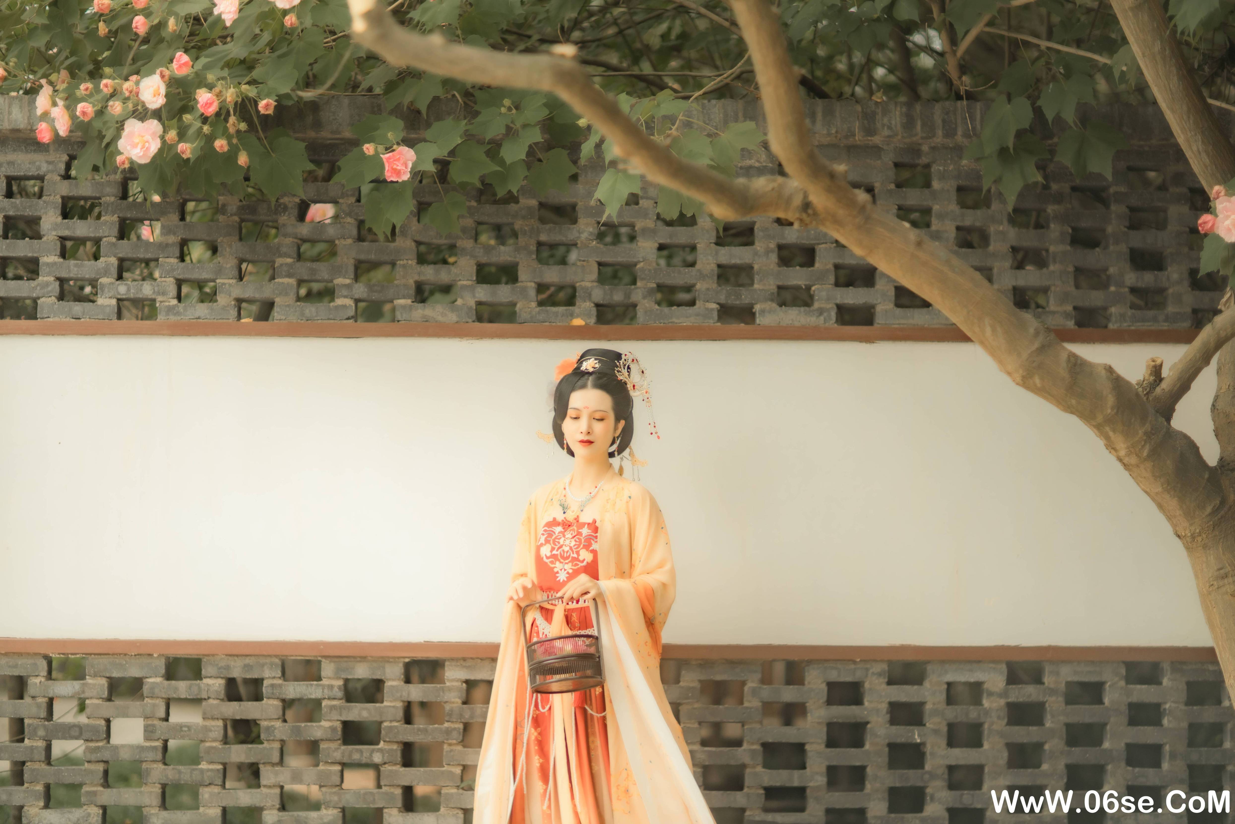图片[31]-[YITUYU艺图语]2021.11.18 芙蓉词 修水凝花[37+1P／515MB]-六色网