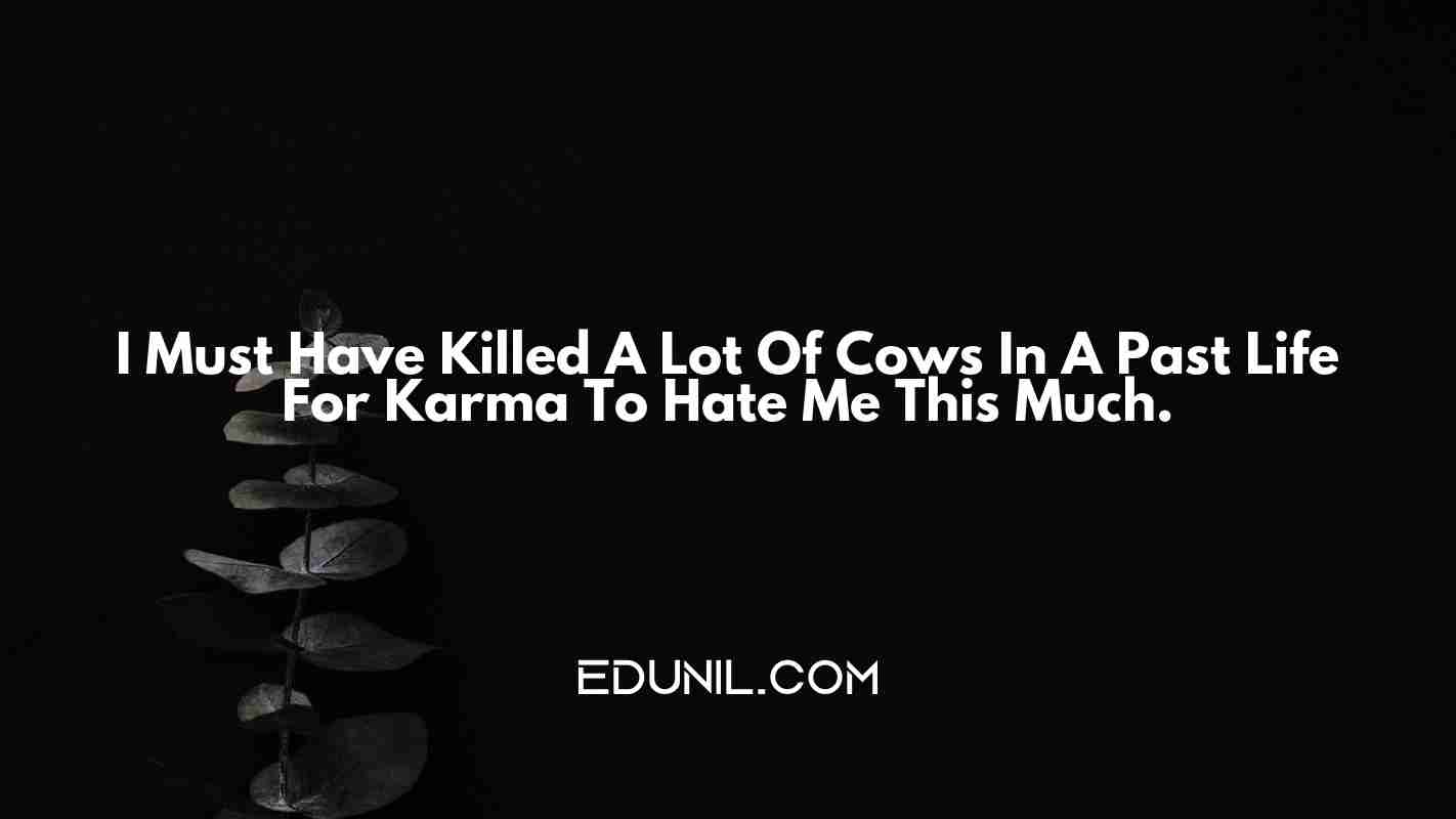 I Must Have Killed A Lot Of Cows In A Past Life For Karma To Hate Me This Much. -  