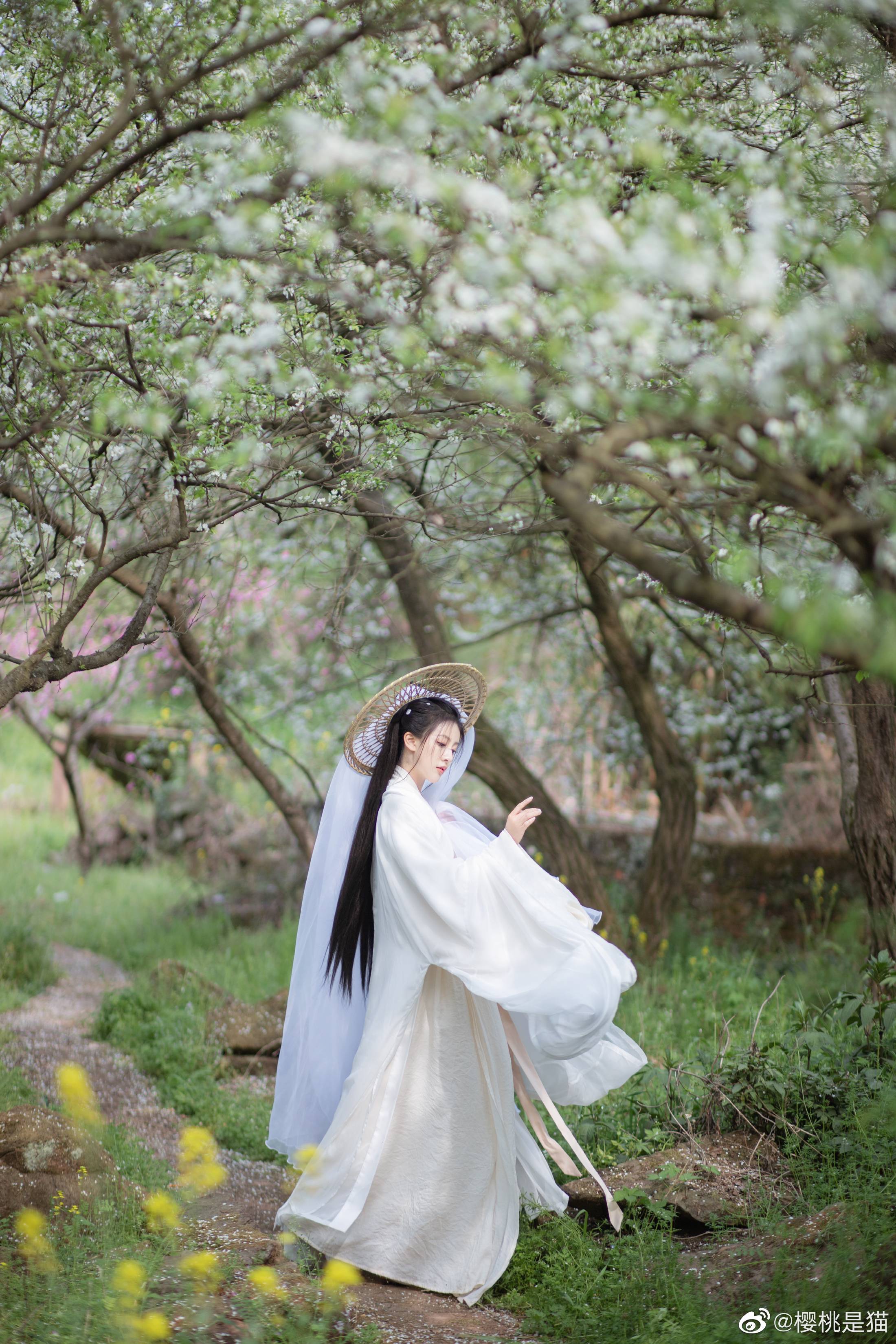 图片[12]-084 迷失幻境系列 – 第082期（国风） [75P-303.73 MB]-六色网
