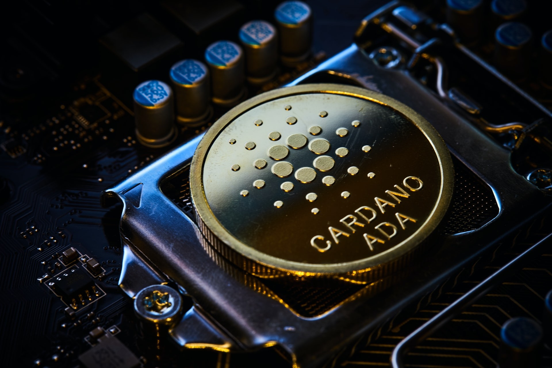 Почему разработчик Cardano IOG сотрудничает со Стэнфордским университетом. Криптовалют