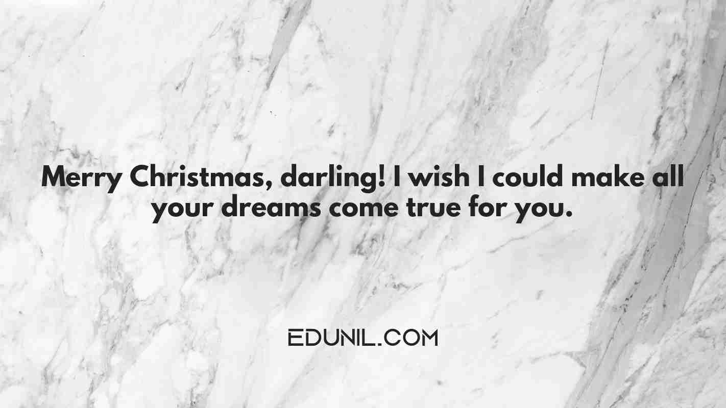 Merry Christmas, darling! I wish I could make all your dreams come true for you. - 
