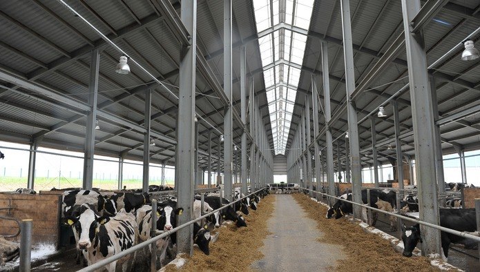 Российско-венгерское «МадьярАгро» вложит 6,2 млрд рублей в строительство в Башкирии молочных ферм