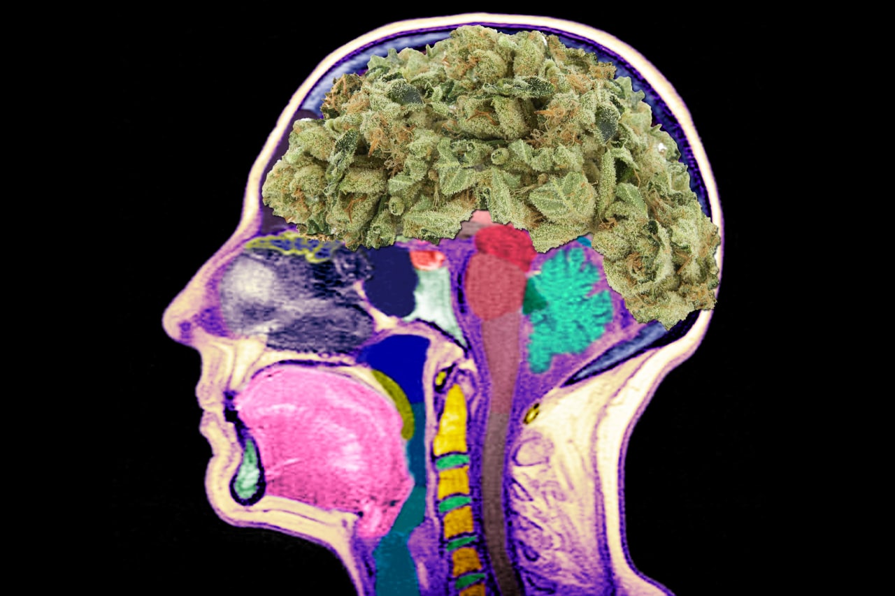 куря марихуану у вас в мозг