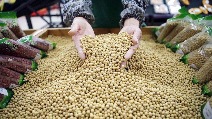 В США прогнозируют исторический максимум экспорта масличных культур из России в сезоне-2019/20