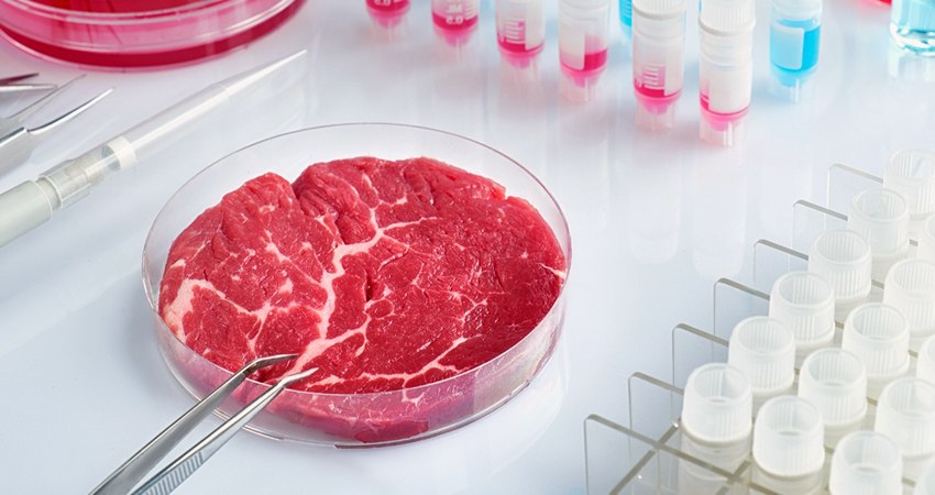 Синтетическое мясо должно появиться на рынке стран ЕС в ближайшие два года