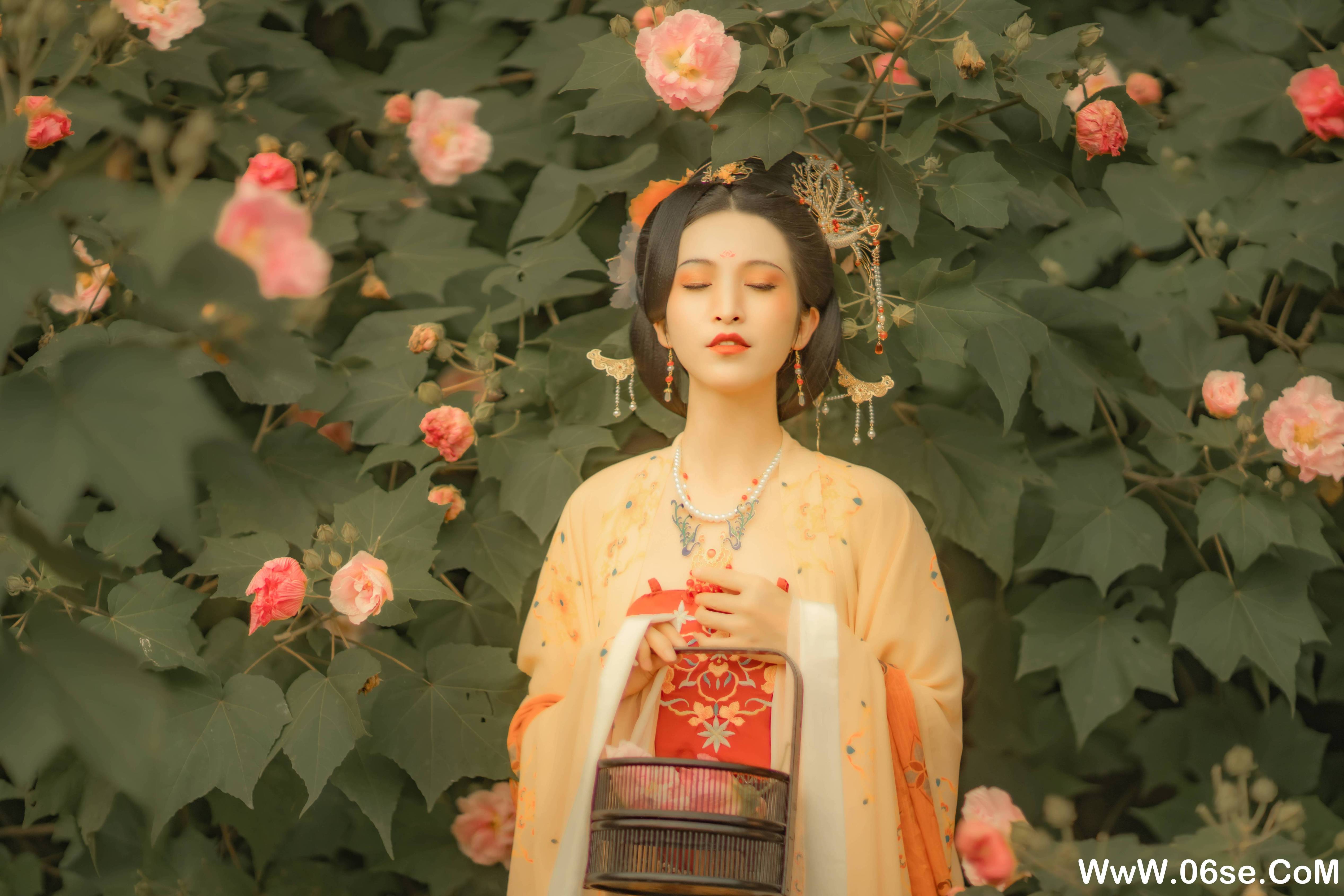 图片[25]-[YITUYU艺图语]2021.11.18 芙蓉词 修水凝花[37+1P／515MB]-六色网