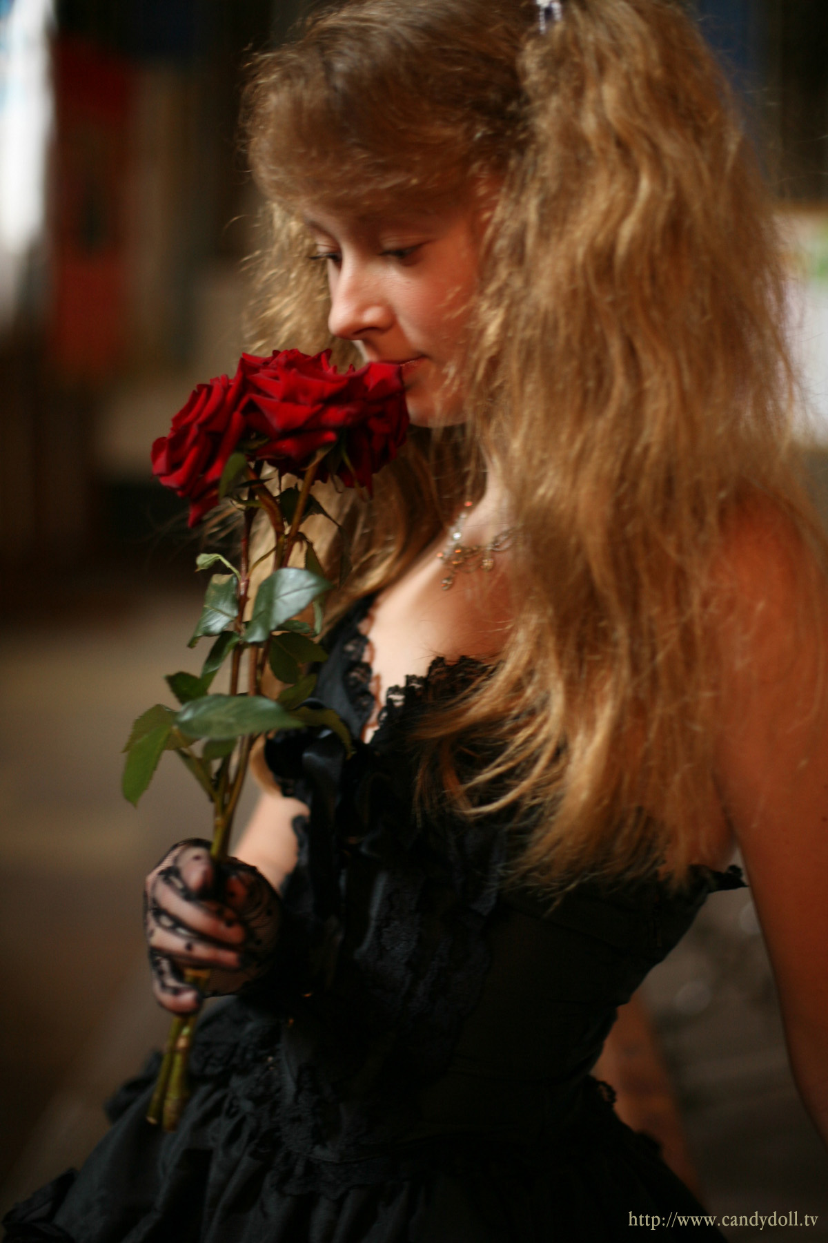 [Image: 5c27f8808ec2ff21c9df8.jpg]