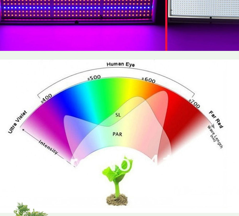 Шаровый спектр. Спектр света для растений. Световой диапазон для растений. Светодиодные светильники спектр света. Спектр света фитолампа.