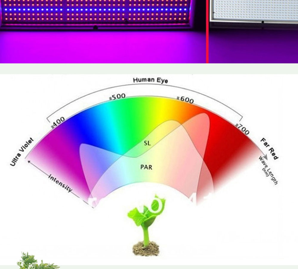 Спектр для растений. Спектр фитолампы. Спектр фитолампы для растений. Световой диапазон для растений. Спектр света led для растений.
