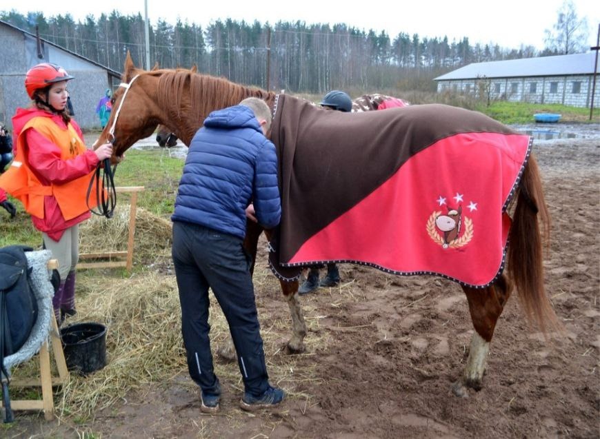 Иллюстрация к статье «Особенности амуниции для пробегов»