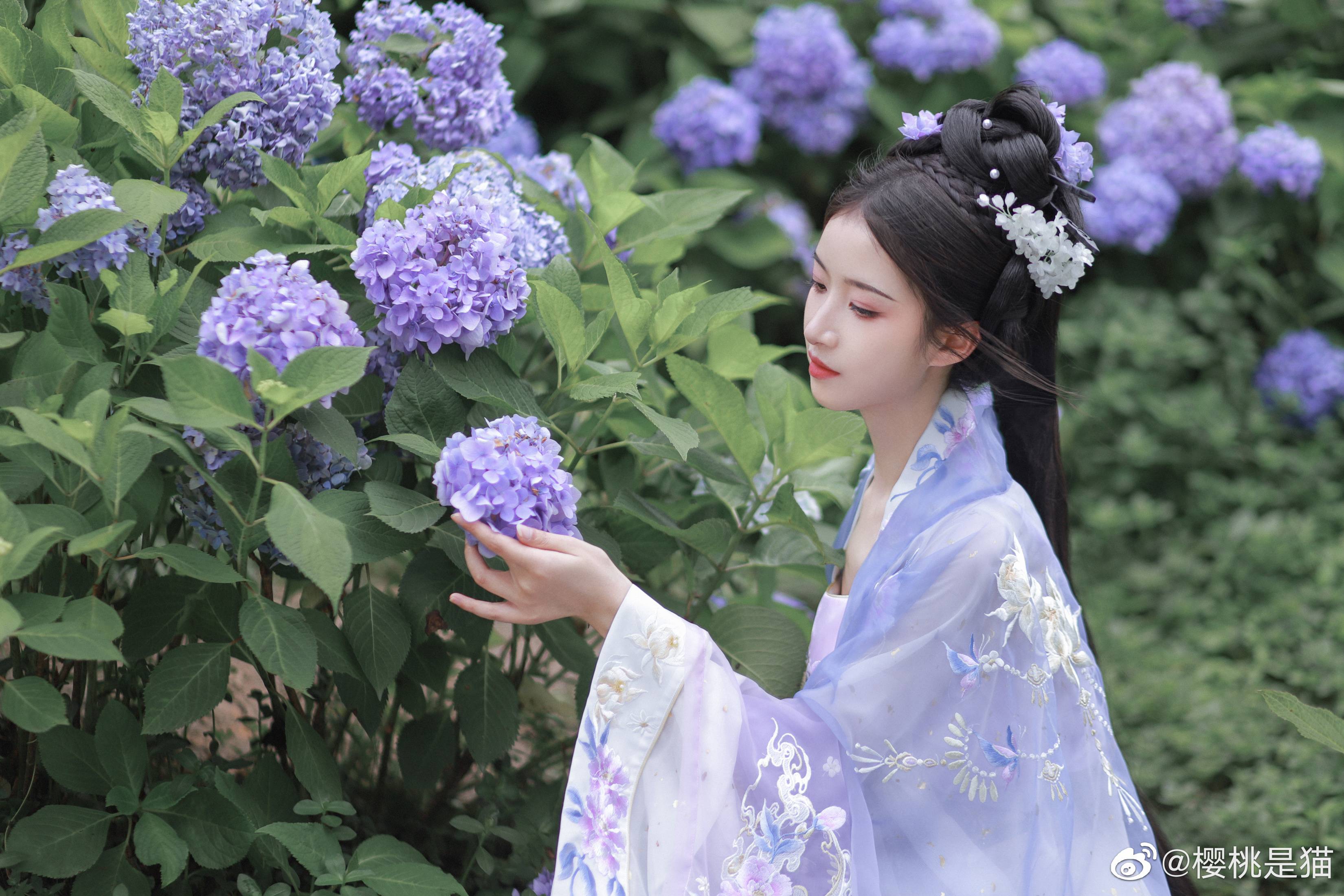 图片[16]-084 迷失幻境系列 – 第082期（国风） [75P-303.73 MB]-六色网