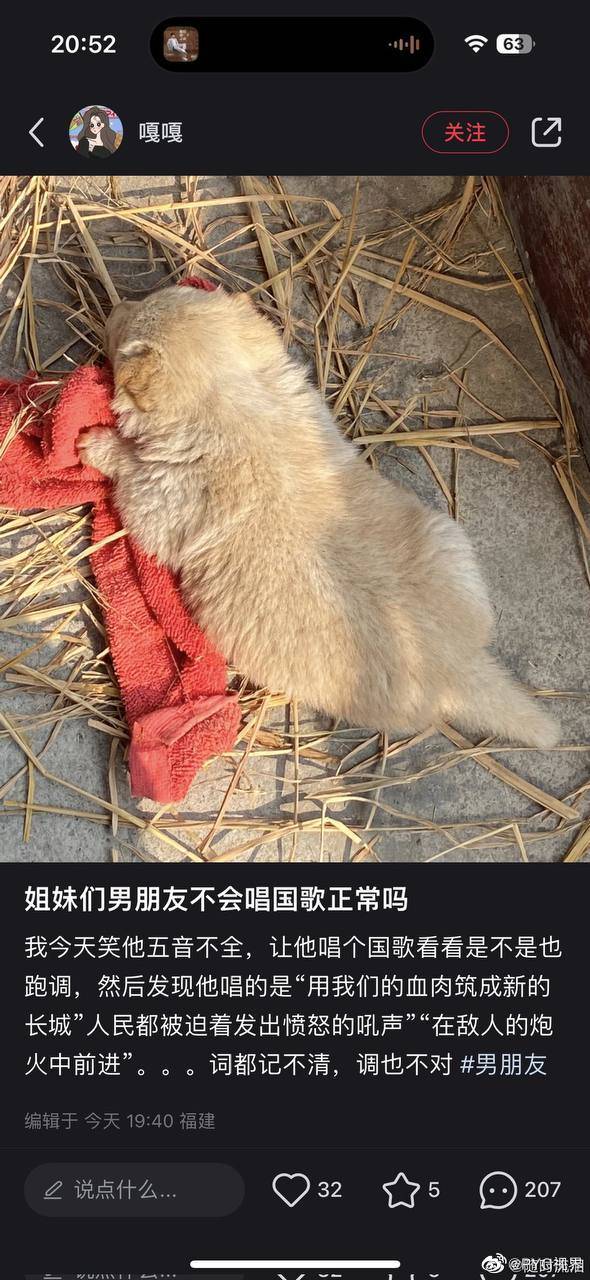https://telegra.ph/file/5cbc5c5dc2189dd468c14.jpg