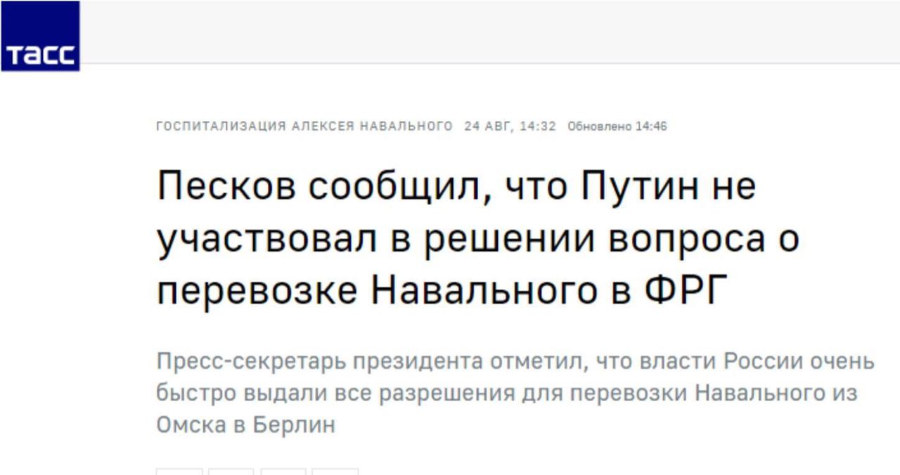 Телеграм канал город глупов