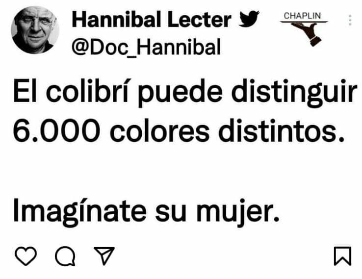 Los colibríes pueden distinguir muchos colores