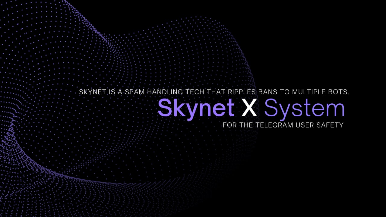 Skynet X System Skynet X System