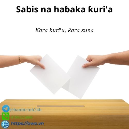 Sabis na haɓaka ƙuri'a: Sabis na haɓaka ƙuri'a yana tabbatar da cewa murya ku za a ji, yana karfafa tasirin ku a cikin shawarwarin da ake yanke.
