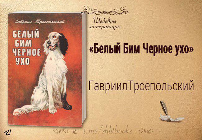 Краткое содержание белый бим черное ухо троепольский. Троепольский белый Бим черное ухо коллаж. Белый Бим черное ухо Автор. Гавриил Троепольский книги коллаж. Автор название книги белый Бим чёрное ухо.