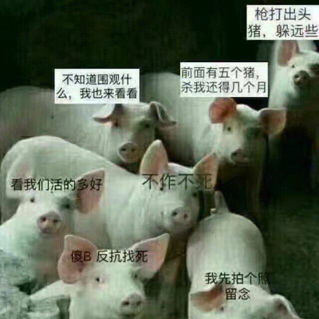 https://telegra.ph/file/5e4681ce65b44a259baea.png