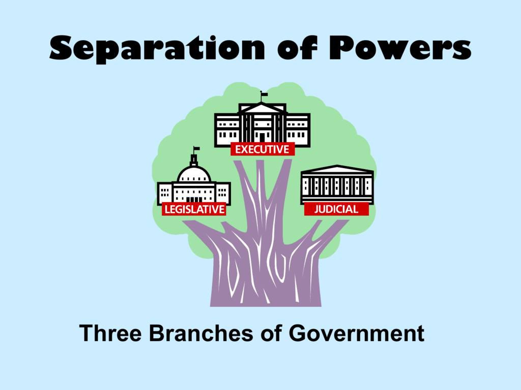 The new government has. Separation of Powers. Три ветви власти в США. Разделение властей. Дерево власти в Америке.