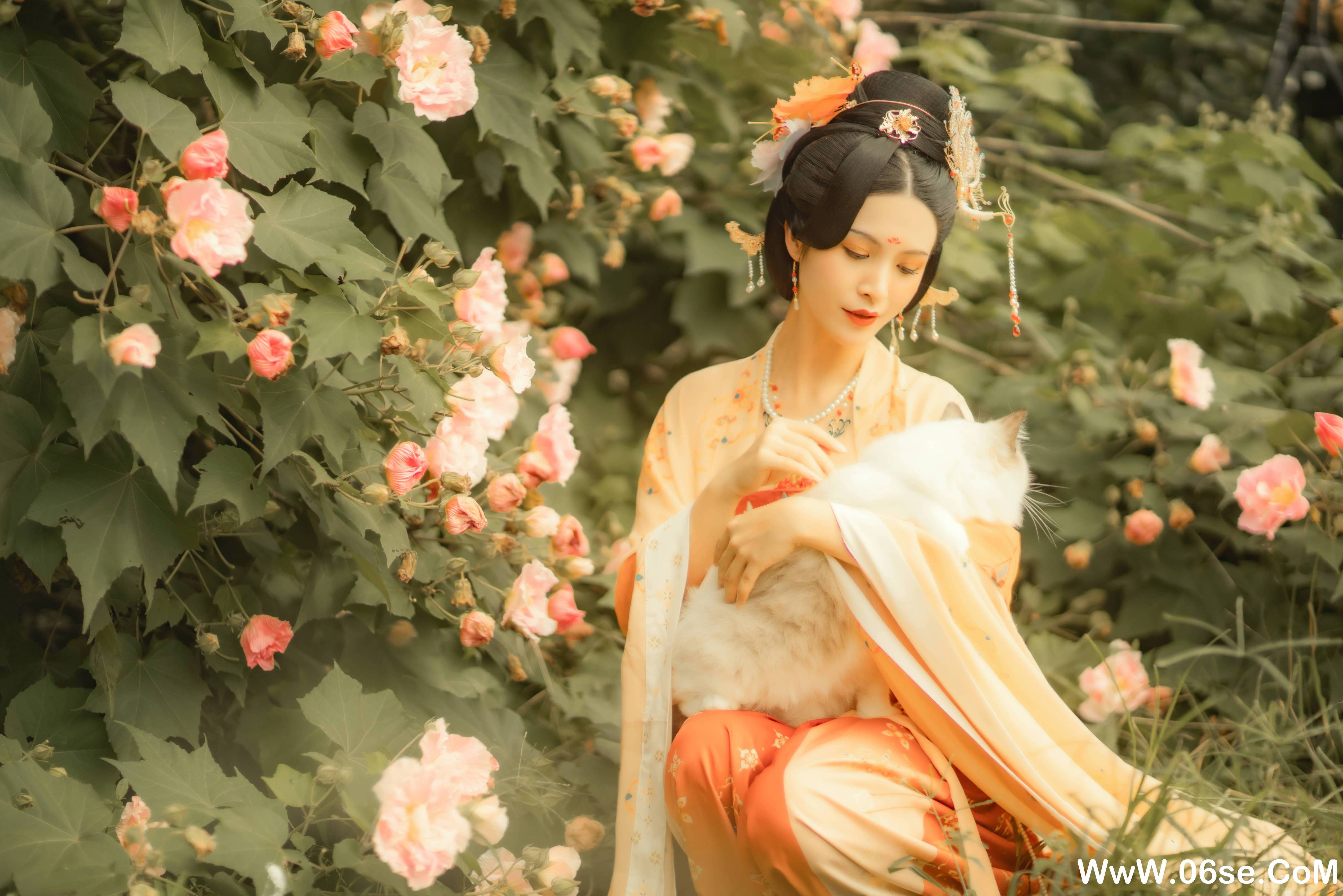 图片[7]-[YITUYU艺图语]2021.11.18 芙蓉词 修水凝花[37+1P／515MB]-六色网