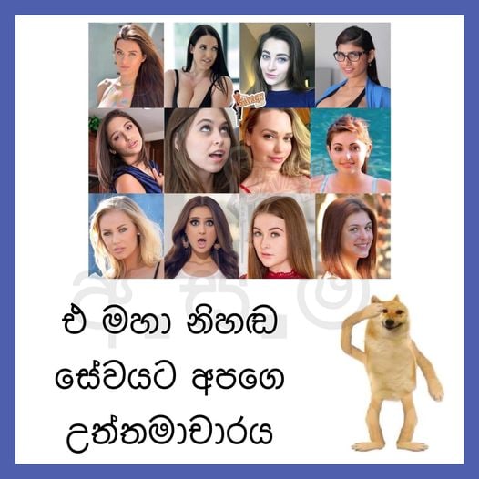 5f2416ce0ccbaa7f65e4d.jpg