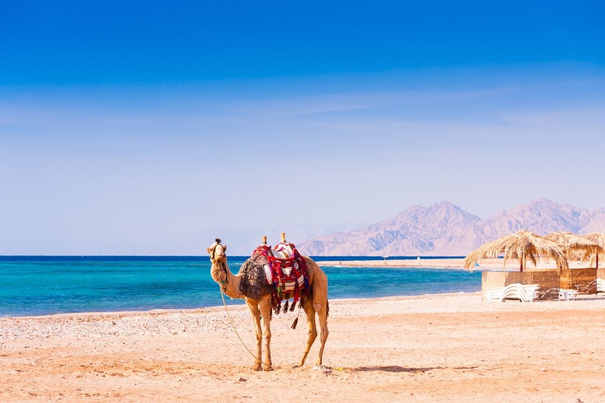 Красное море египет хургада фото