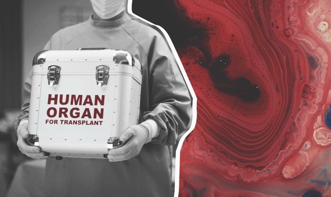 Трансплантация органов от живого донора. Трансплантология органов. Трансплантация органов и тканей. Трансплантация органов и тканей человека.