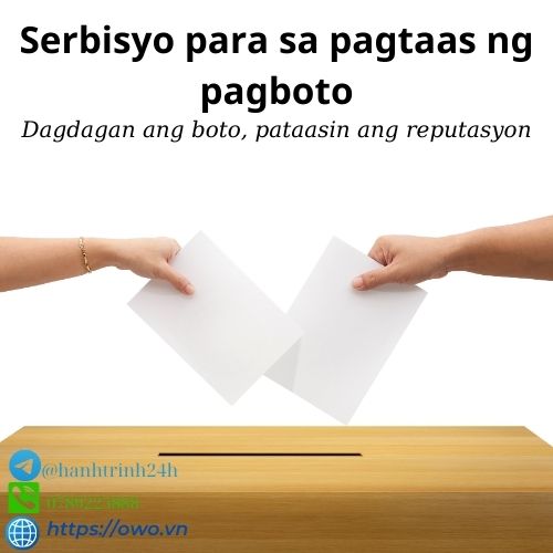 Serbisyo para sa pagtaas ng pagboto: Serbisyo para sa pagtaas ng pagboto ay nagtitiyak na ang iyong tinig ay maririnig, pinapalakas ang iyong impluwensya sa mga demokratikong desisyon.