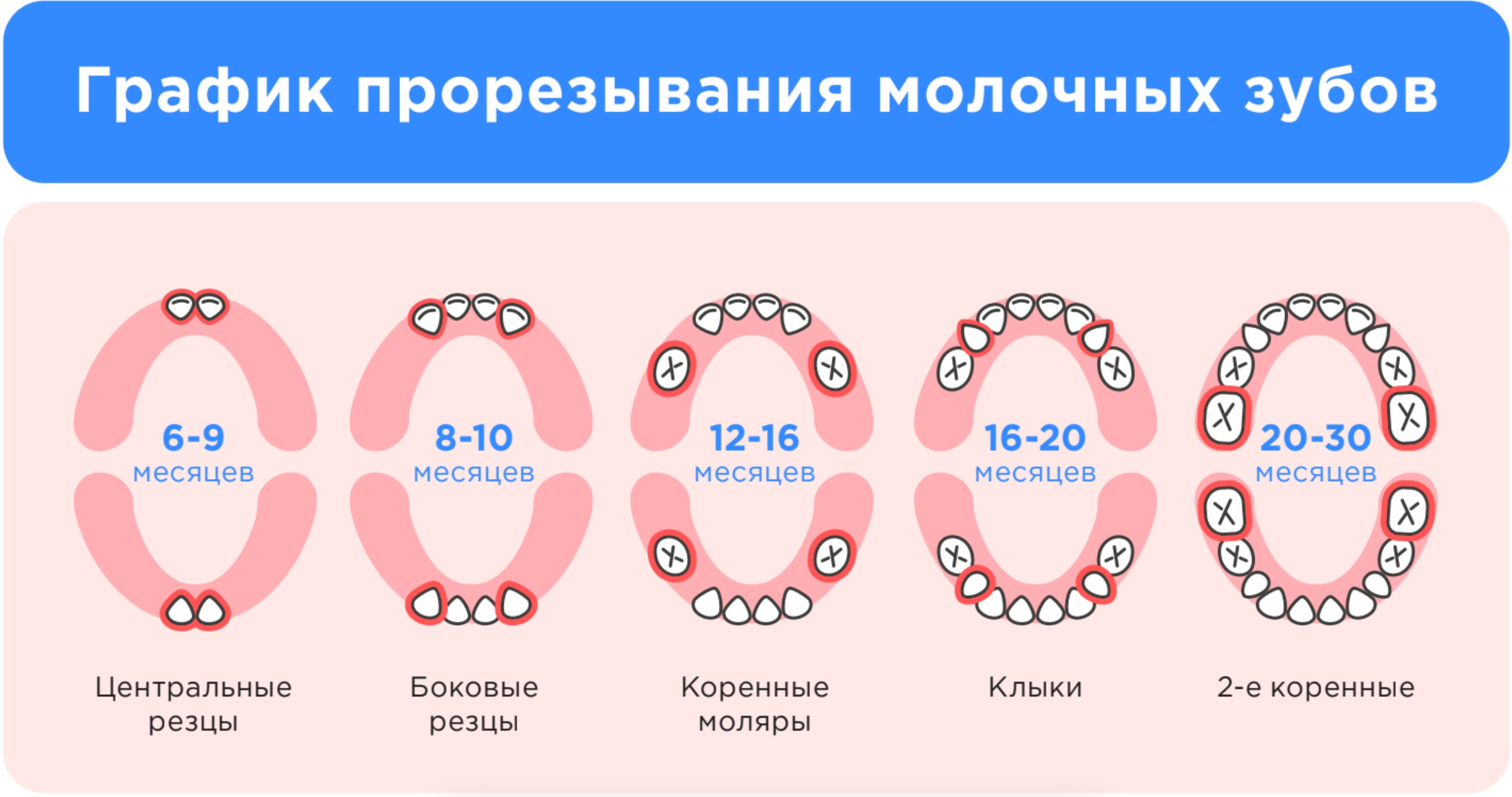 Температура на зубы у ребенка сколько. Порядок прорезывания молочных зубов. Молочные зубы схема прорезывания. Схема роста молочных зубов. Схема появления зубов у детей.