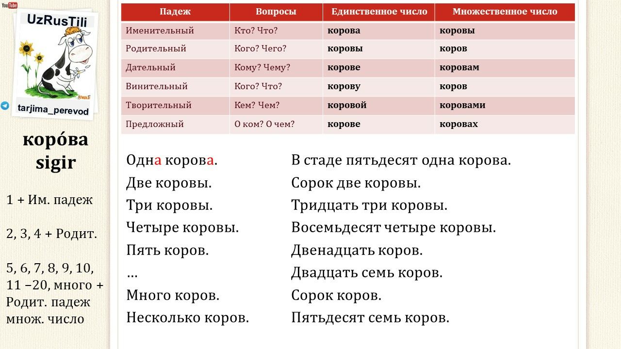 Падеж слова сорока. Корова склонение. Просклонять существительные корова. Прилагательное к слову корова.