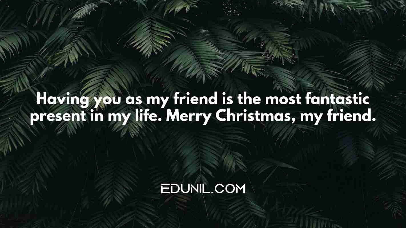Having you as my friend is the most fantastic present in my life. Merry Christmas, my friend. - 
