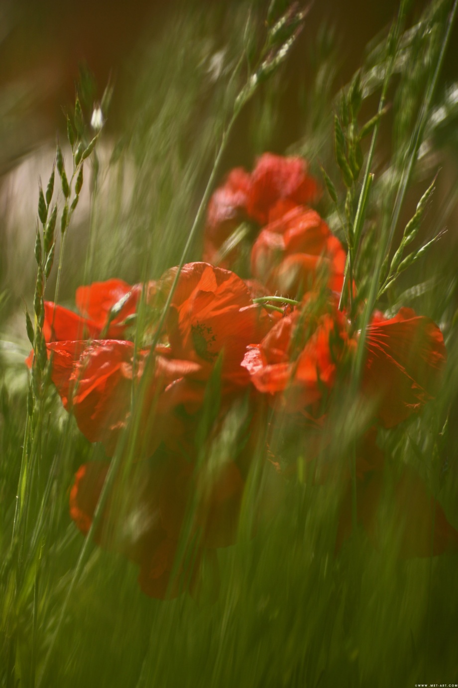 [Image: 6019164aab7f18d8e99d9.jpg]