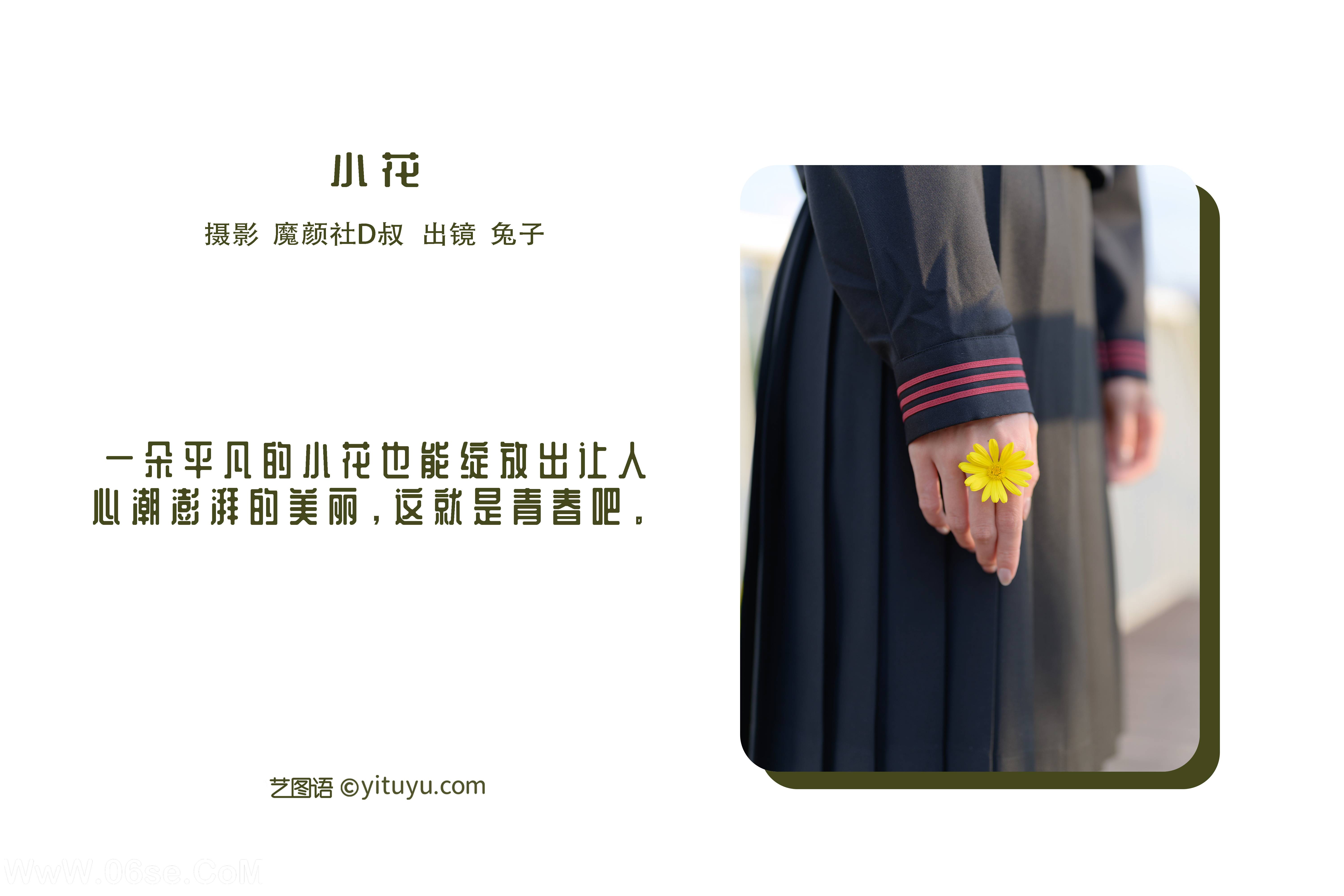 图片[2]-[YITUYU艺图语]2022.07.05 小花 兔子Zzz不吃胡萝卜[34+1P／290MB]-六色网