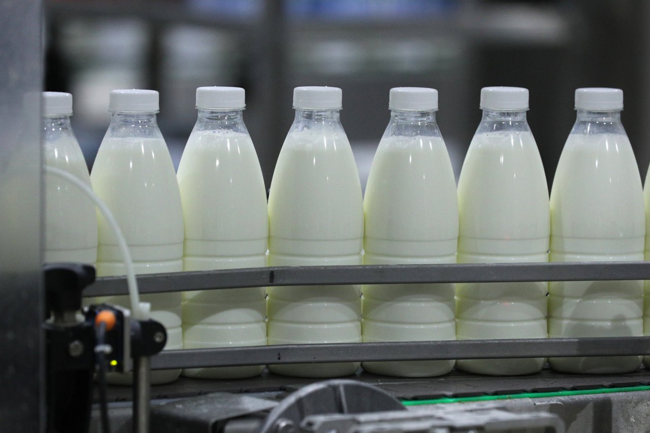 За 10 месяцев текущего года производство молока выросло на 3,8%