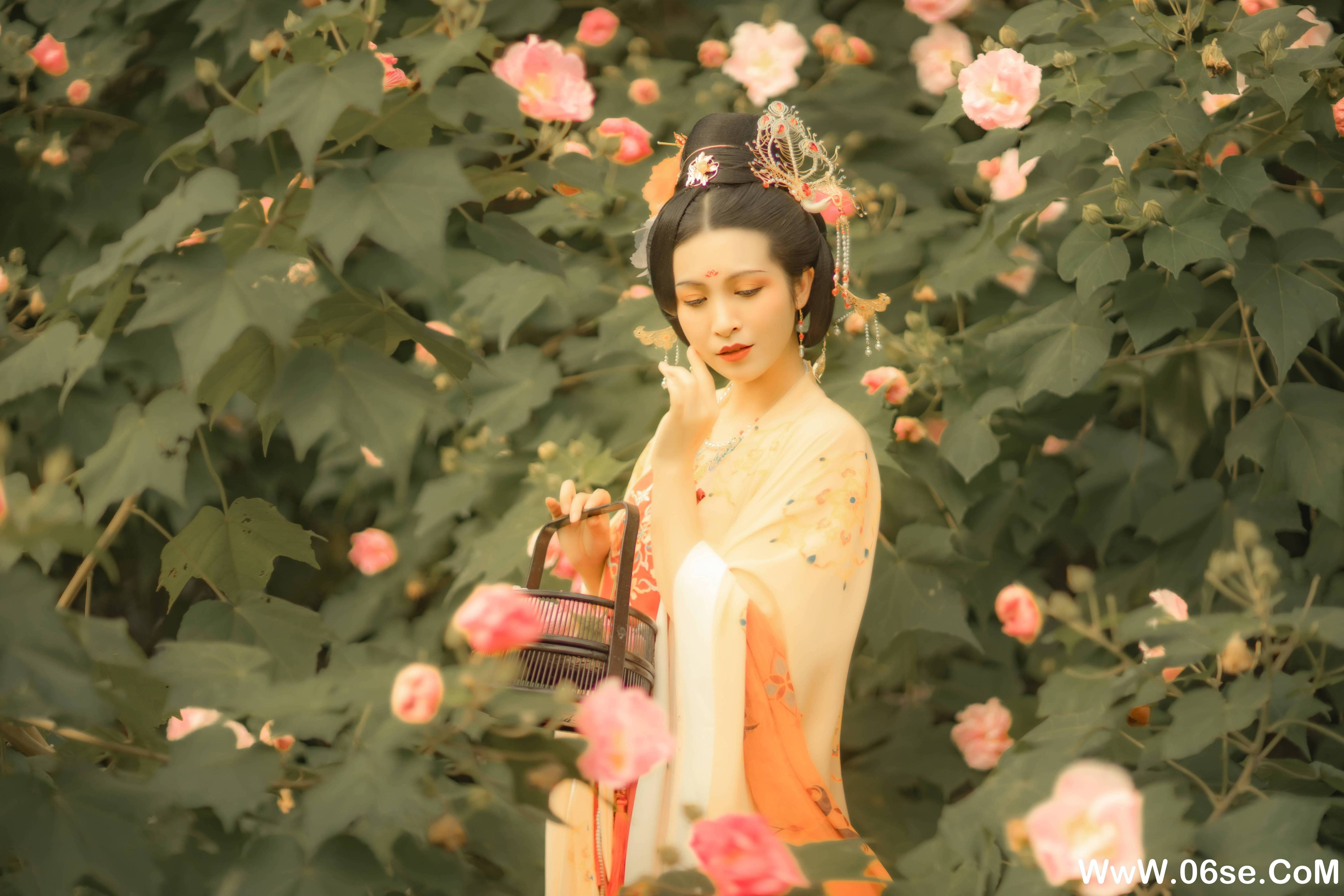 图片[23]-[YITUYU艺图语]2021.11.18 芙蓉词 修水凝花[37+1P／515MB]-六色网