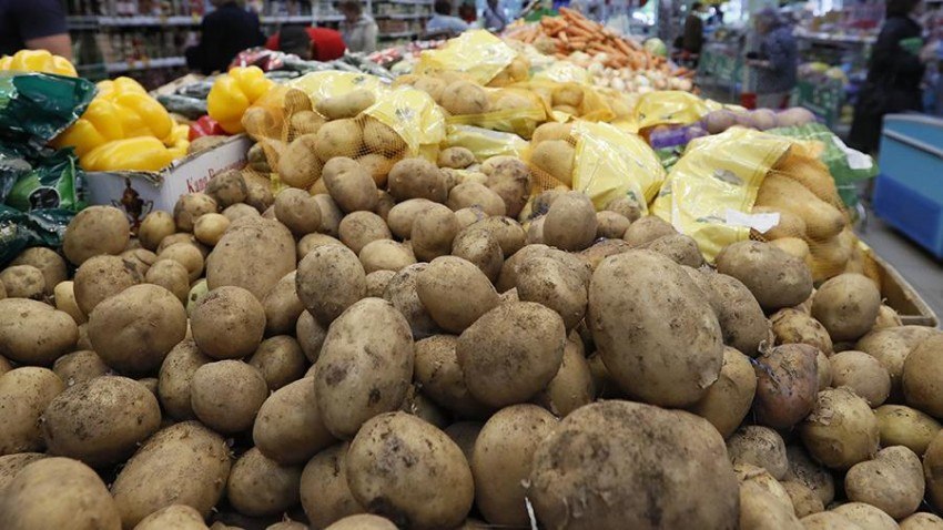 В России нехватка предложения качественного картофеля