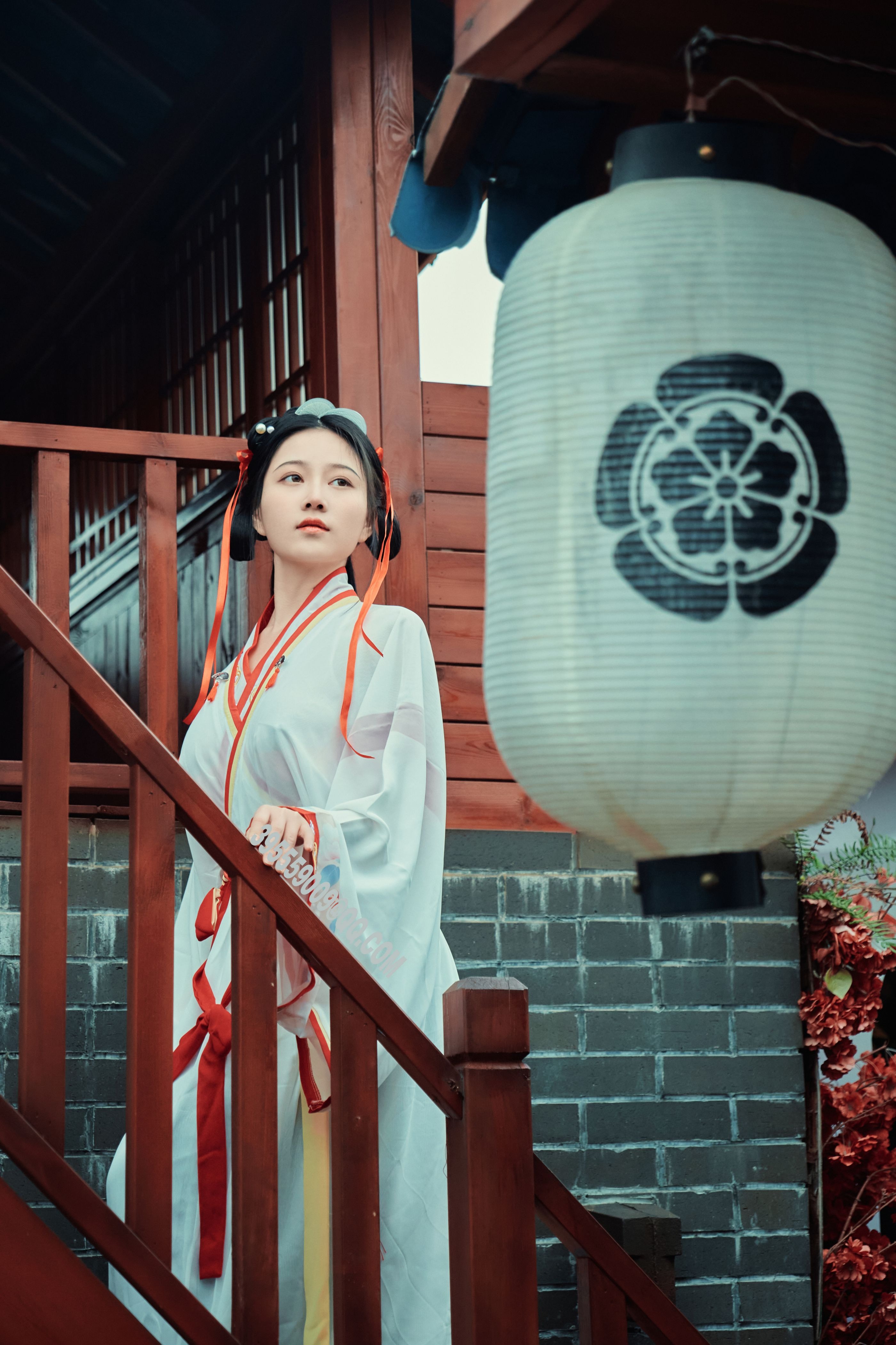 年年 如梦令（2月3打赏群资源） 3