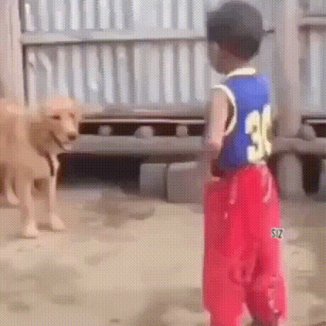 https://telegra.ph/file/60e60870b57ad767f1874.gif