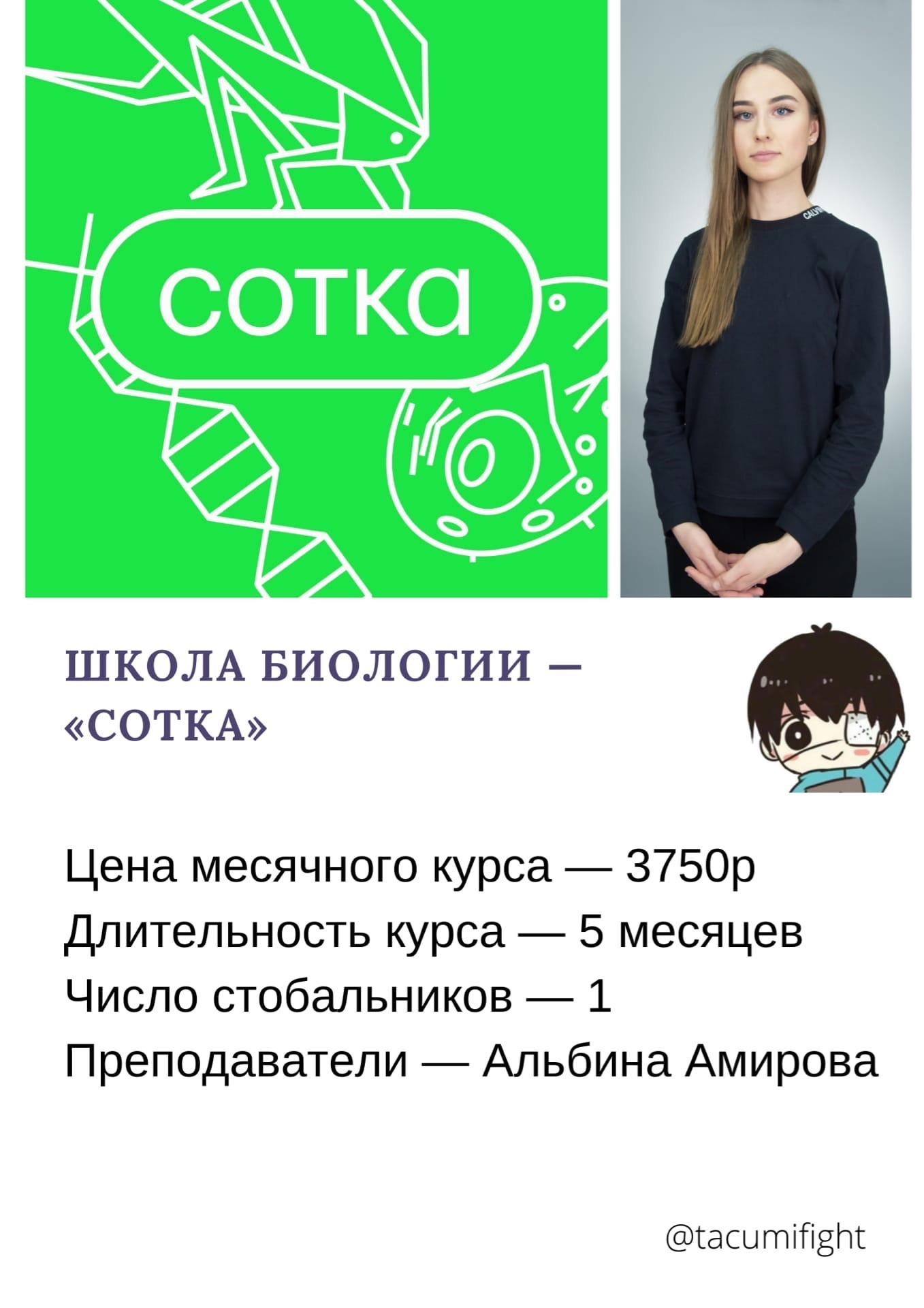 Школа сотка