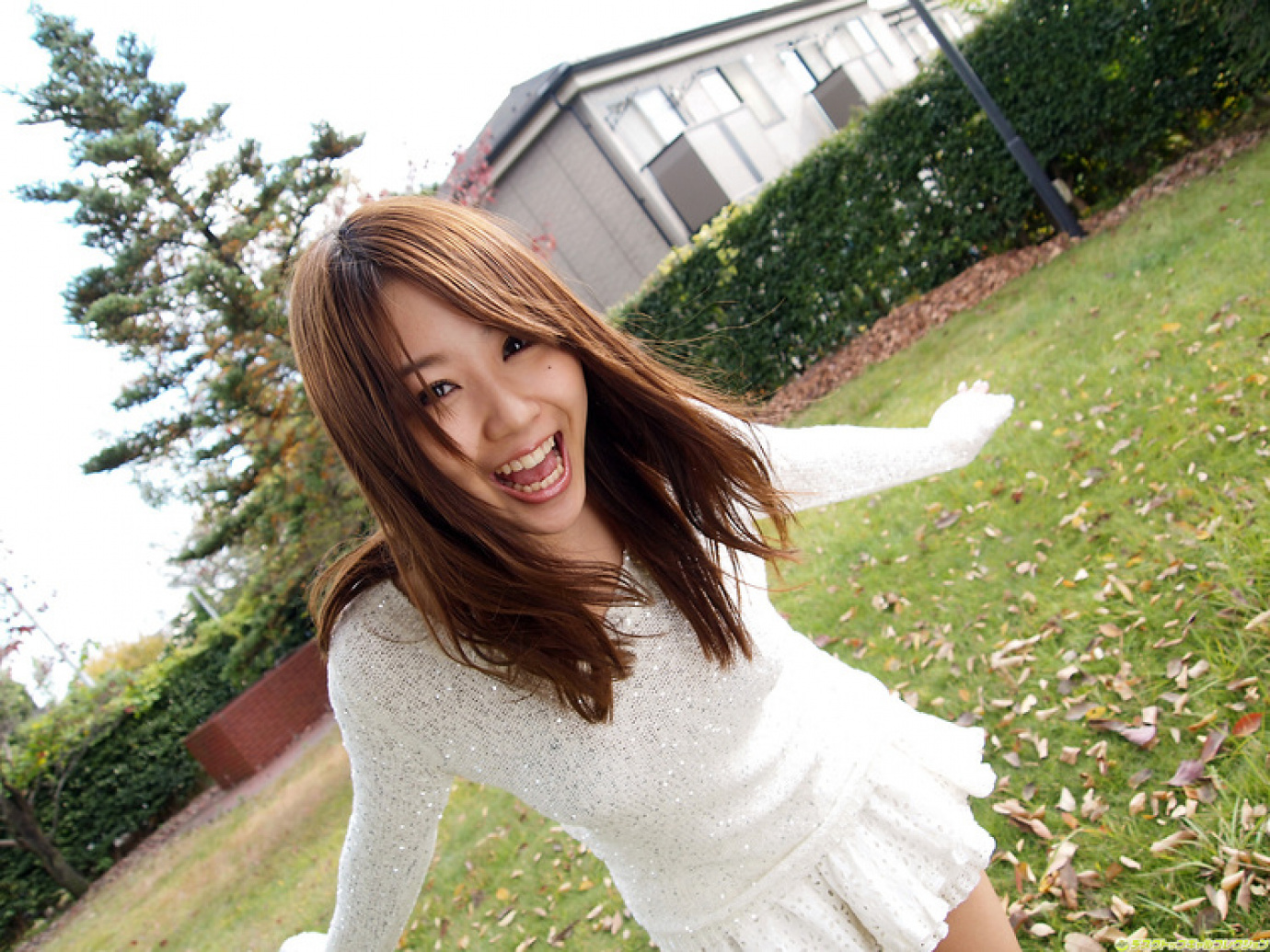 [Image: 6138e7fad693cdac88775.jpg]