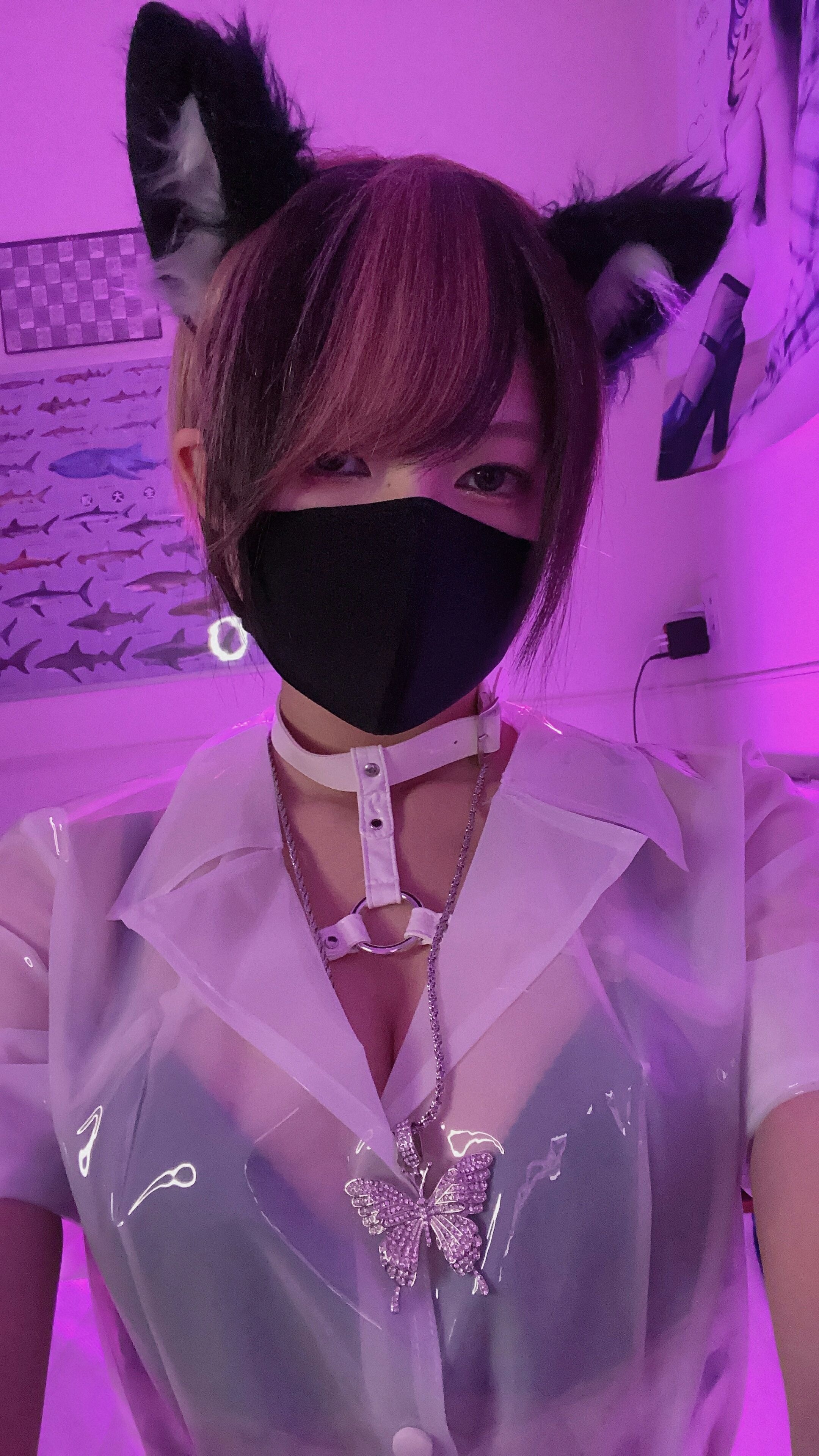 御伽樒 蓝卫衣+猫耳束缚 125