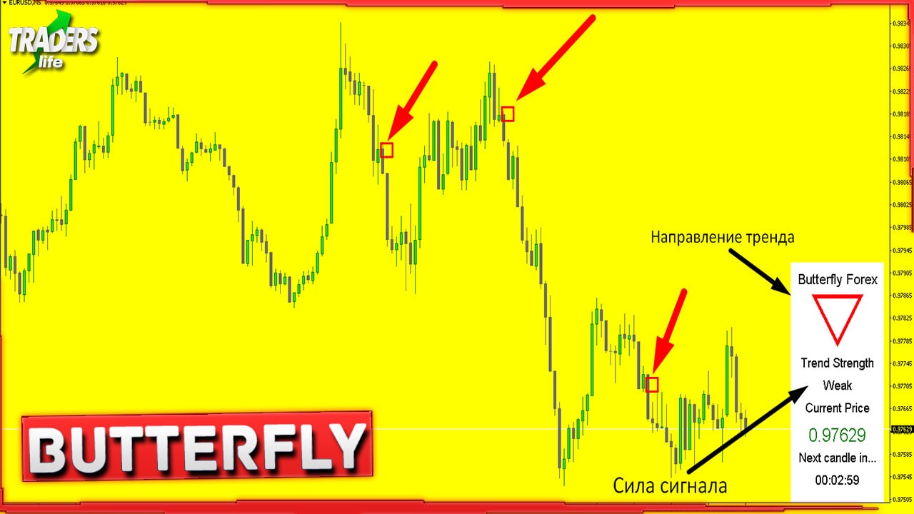 Максимум просмотров. Max-trade.