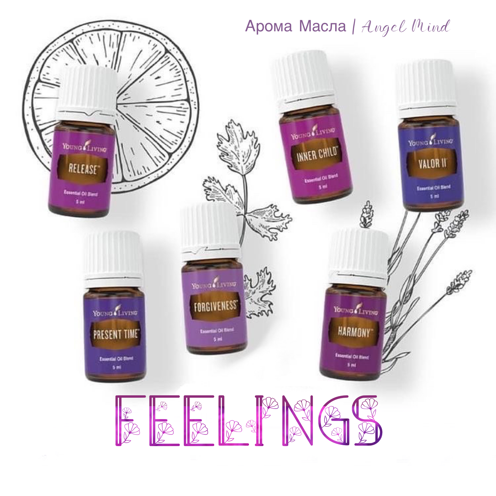 Angels mind. Арома штучки. Арома Украина. Арома Луганск. DOTERRA Арома девичник.