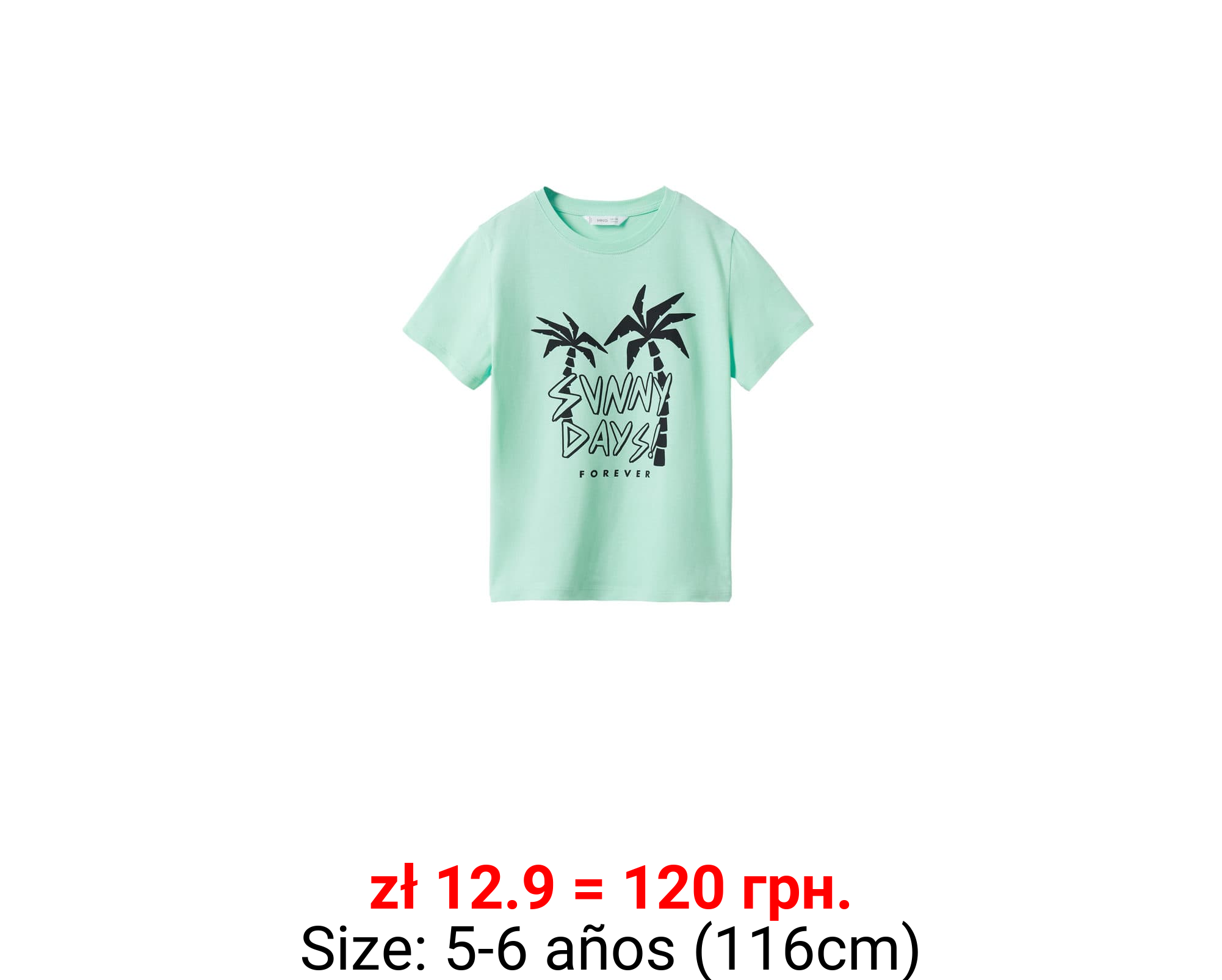 Camiseta algodón estampado