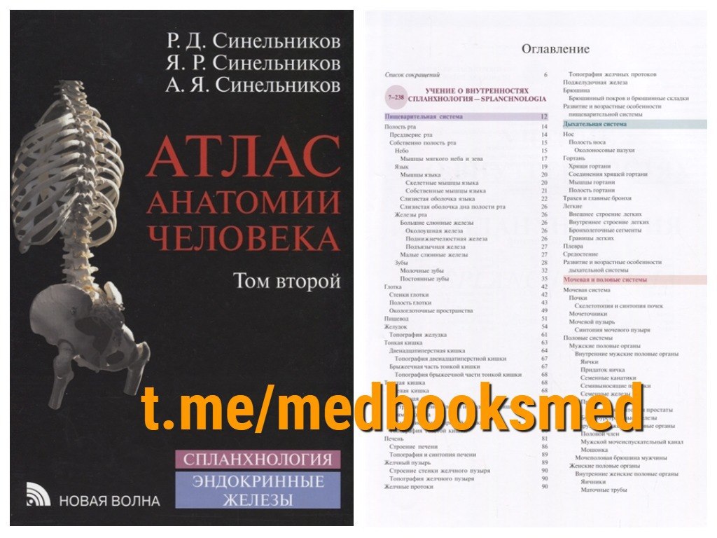 Анатомия синельникова 1 том. Атлас анатомии человека Синельников 1 том. Атлас анатомии человека Синельников 2. Анатомия атлас Синельникова 2 том. Атлас анатомии человека Синельников.