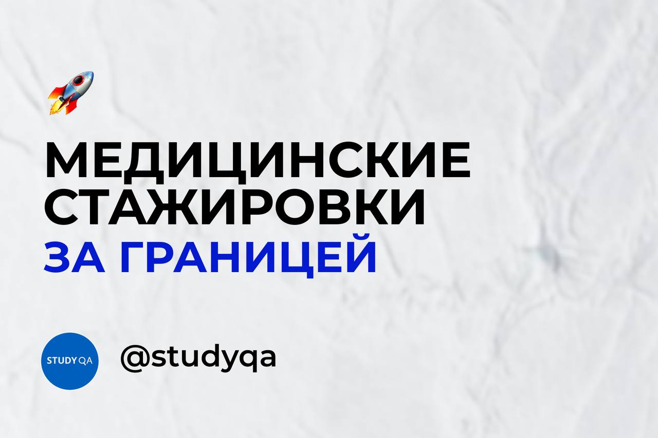 StudyQA — стажировки, стипендии, обучение – Telegram