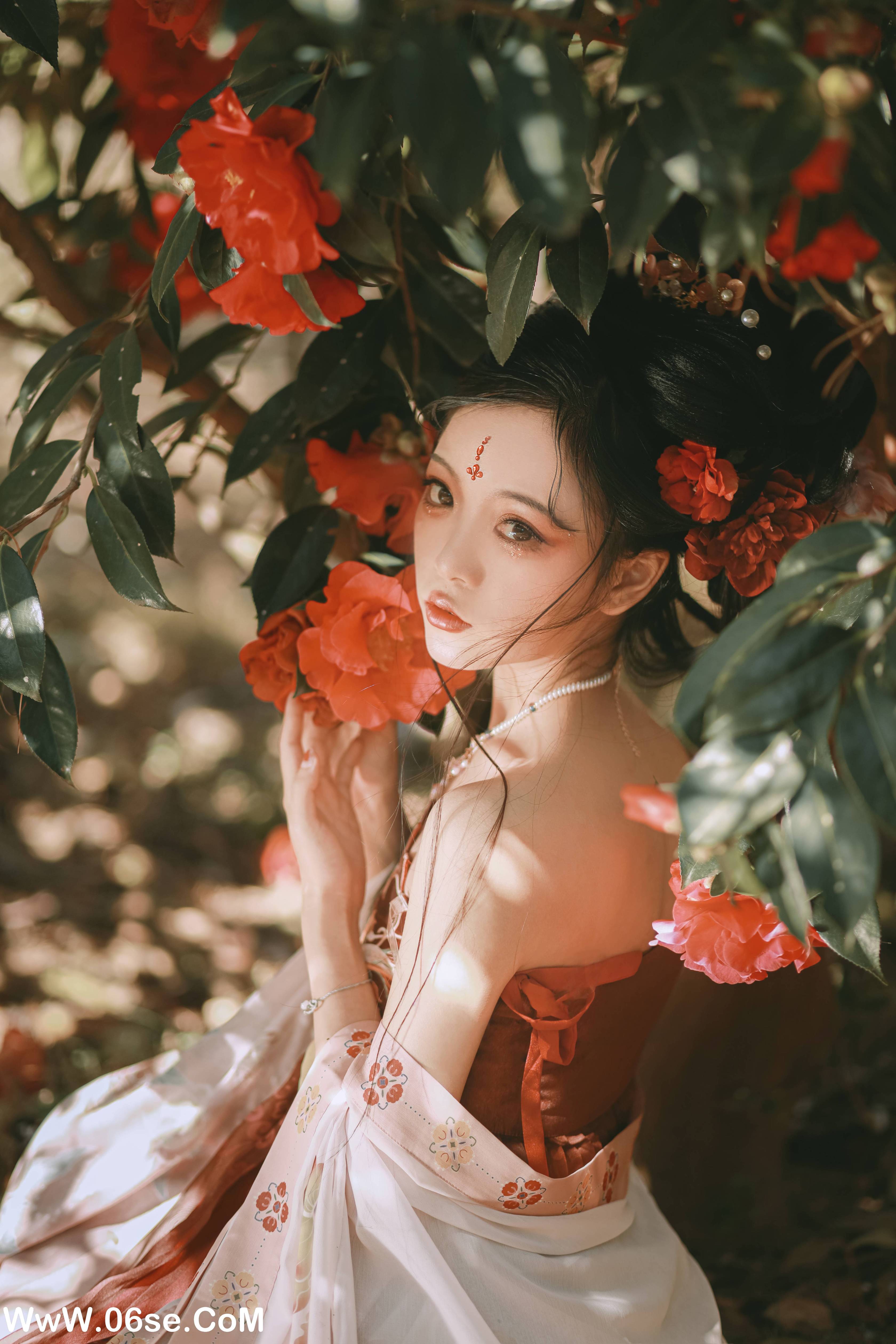 图片[12]-[YITUYU艺图语]2022.06.26 山茶花神 芍药_Y[42P-469M]-六色网
